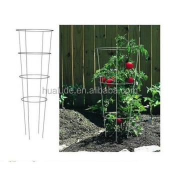 Cage à tomates en fer fabriquée en Chine avec la meilleure qualité et le meilleur prix